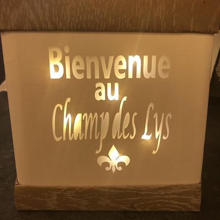 Le Champ Des Lys Hotel Amancey Ngoại thất bức ảnh